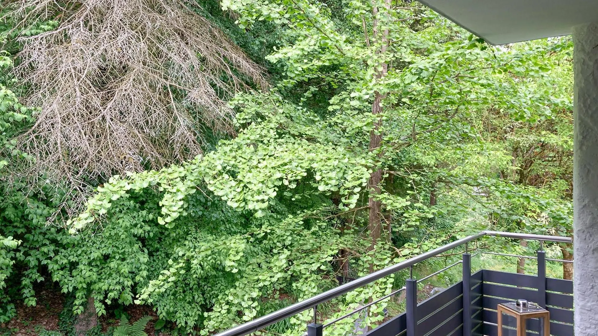 Ginkgo Apartment, Familienfreundlich, Stadtrand Bamberg 0*,